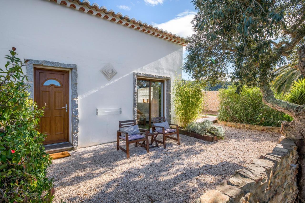 Herdade Quinta Natura Turismo Rural 阿尔热祖尔 外观 照片