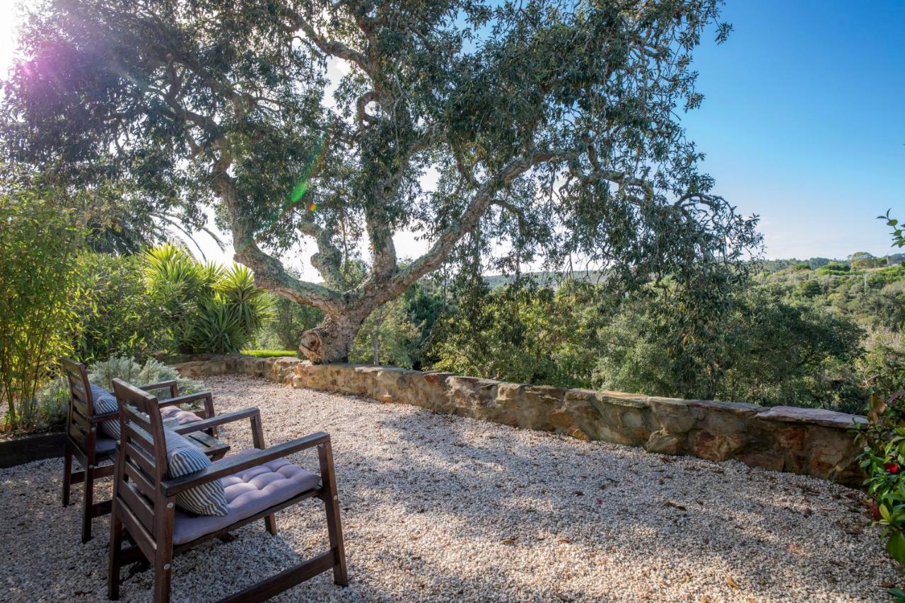 Herdade Quinta Natura Turismo Rural 阿尔热祖尔 外观 照片