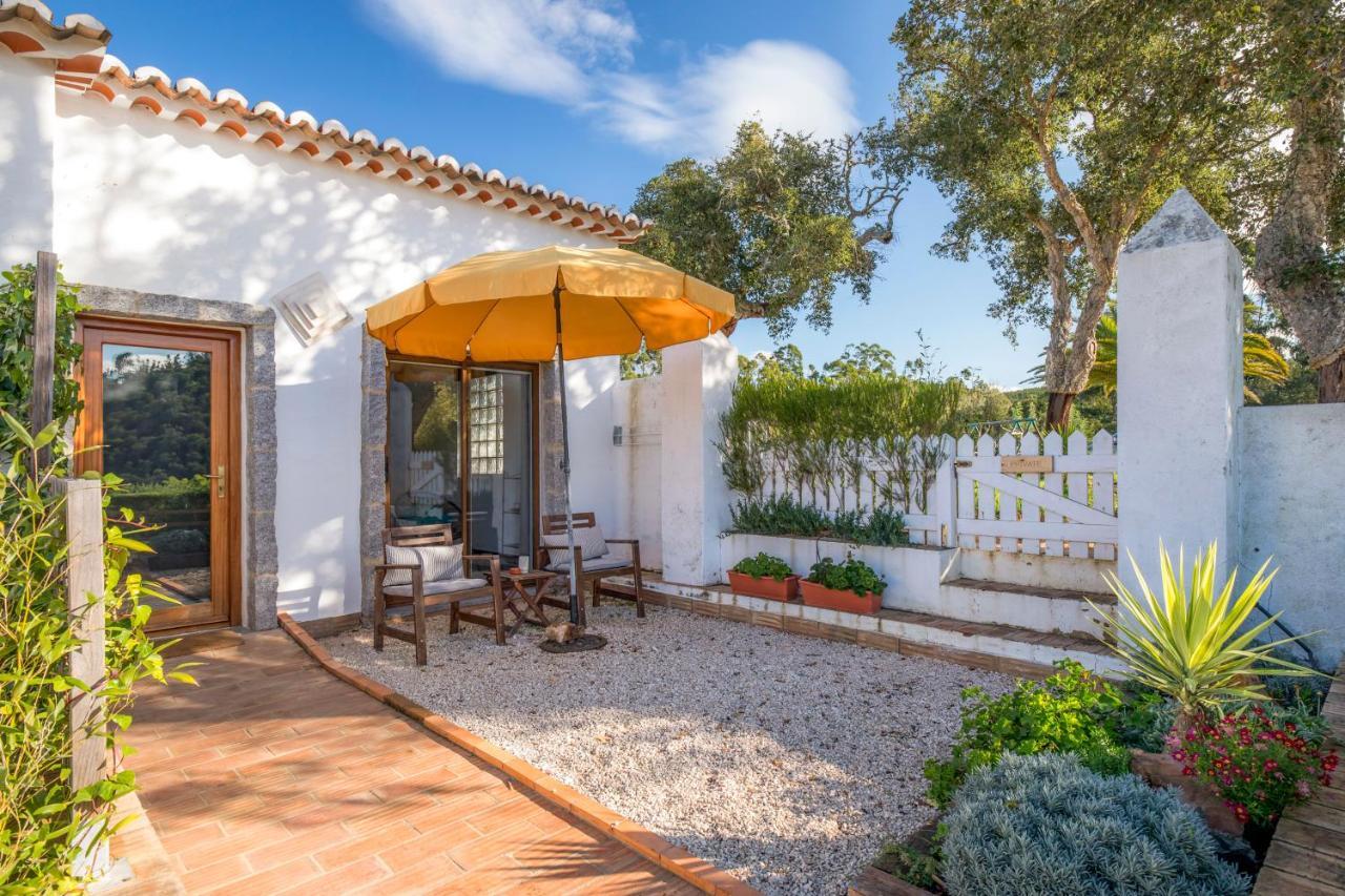Herdade Quinta Natura Turismo Rural 阿尔热祖尔 外观 照片